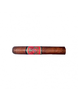 Don Duarte Classico Golden Robusto (24)