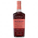 Gin Hayman´s Sloe 26 % 0,7 l