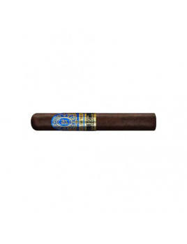 Perdomo Reserve 10th Anniversary Boxpressed SuperToro Maduro (25)