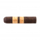 Rocky Patel Decade Short Robusto (20)