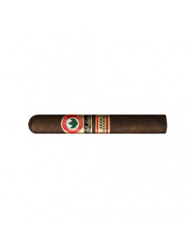 Joya de Nicaragua Antaňo Gran Reserva Robusto Grande (20)