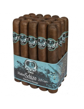 Asylum Schizo Maduro Toro Gordo (20)