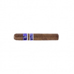 Rocky Patel Vintage 2003 Robusto (20)