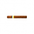 Cohiba Siglo II SLB (25)