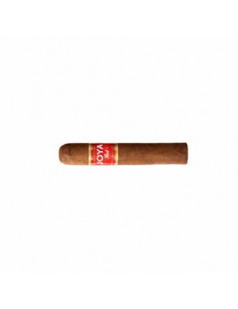 Joya Red Half Corona (5)