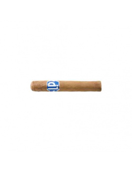 LP Robusto (10)