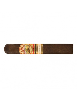A.J. Fernandez San Lotano The Bull Robusto (20)