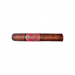 Don Duarte Classico Golden Robusto (24)