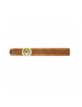 Macanudo Connecticut Hyde Park (10)