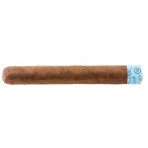 Rocky Patel Edge Nicaragua Toro (20)