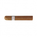 VegaFina Short Robusto (3)